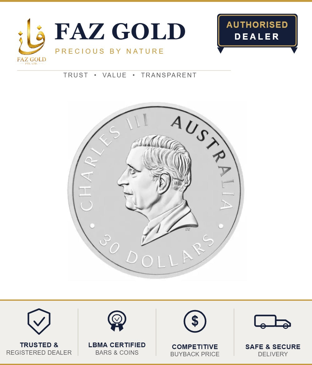 10 oz (311.04g) Silver Coin 999.9 Fine Silver | Multiple LBMA Brands | Random Design