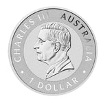 Obverse of the 1 oz Australian Kangaroo silver coin with the Charles III portrait and 1 Dollar denomination